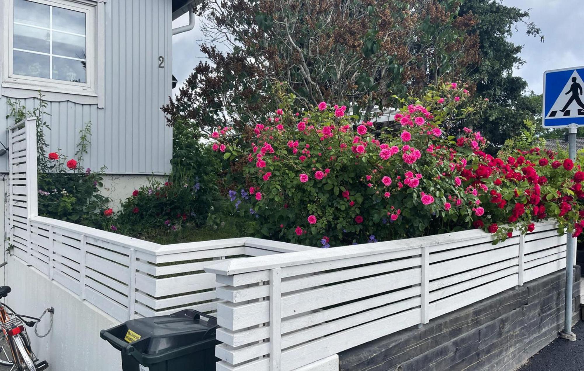 Nice Home In Trosa With Wifi Exterior foto